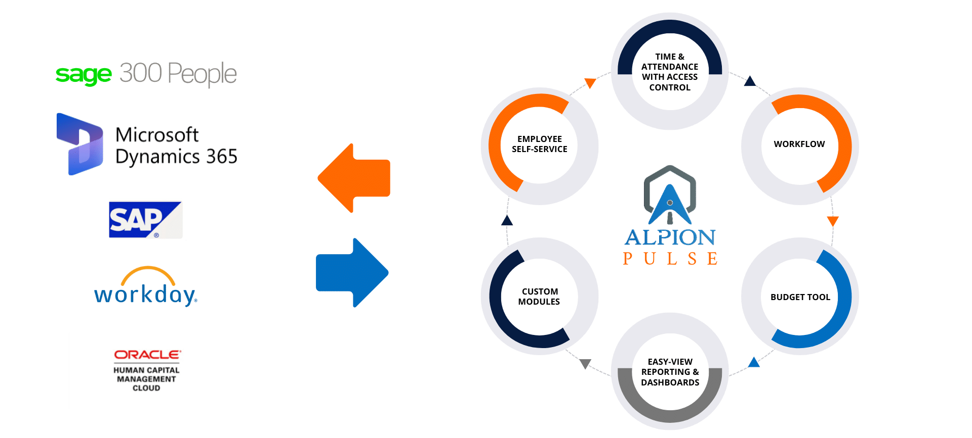 Alpion Pulse - Our ecosystem e1759743491721